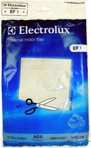 Eureka Home Cleaning System Motor Filter #60541