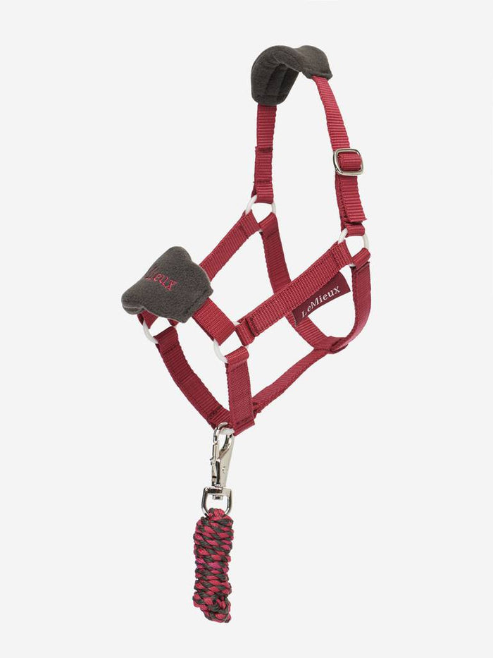 LeMieux Hobby Horse Vogue Headcollar and Lead