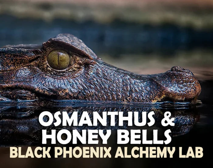 Osmanthus & Honey Bells Perfume Oil