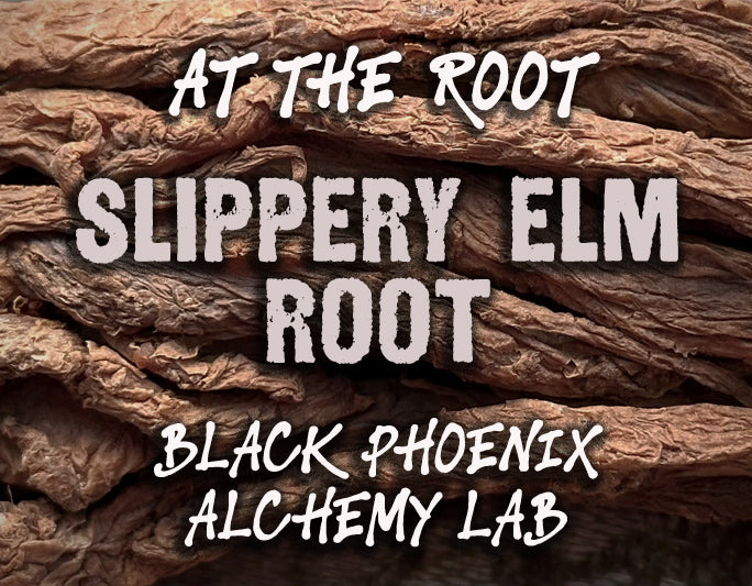 Slippery Elm Root Perfume Oil