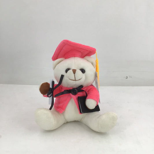 7-Inch Pink Blossom Graduation Keepsake Teddy Bear, Wholesale
