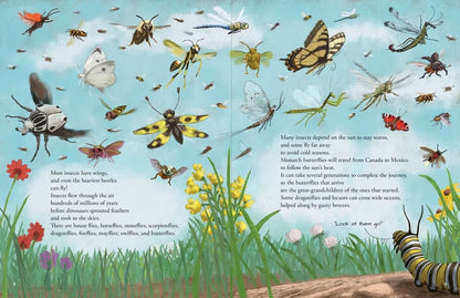All The Insects Book