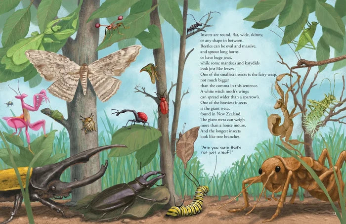 All The Insects Book
