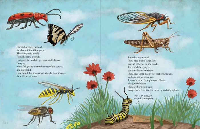 All The Insects Book