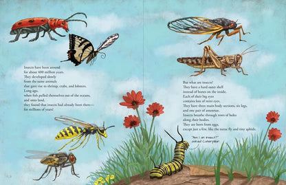 All The Insects Book