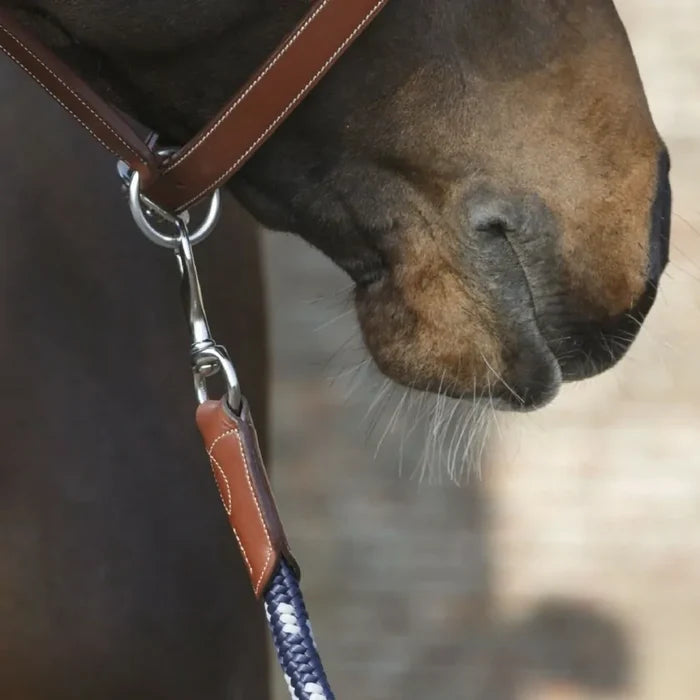 Antares Lead Rope