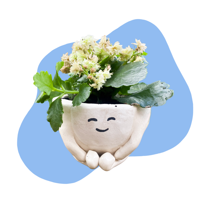 Pottery with a Purpose Beginner Pottery Kit  – Air Dry