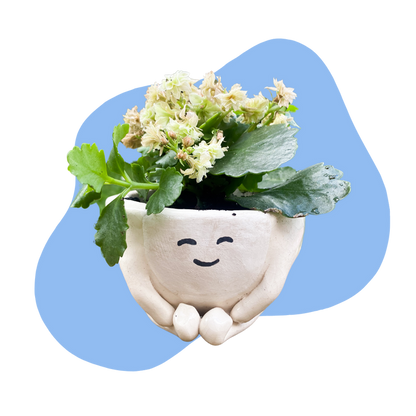 Pottery with a Purpose Beginner Pottery Kit  – Air Dry