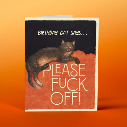 BIRTHDAY CAT!  funny cat birthday card