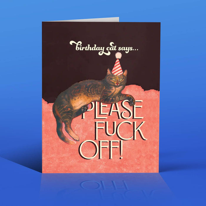 BIRTHDAY CAT!  funny cat birthday card