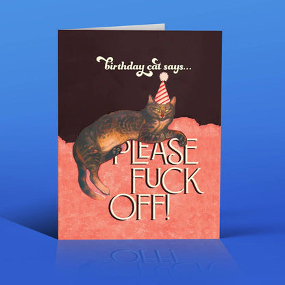 BIRTHDAY CAT!  funny cat birthday card