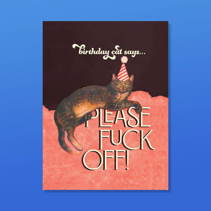 BIRTHDAY CAT!  funny cat birthday card