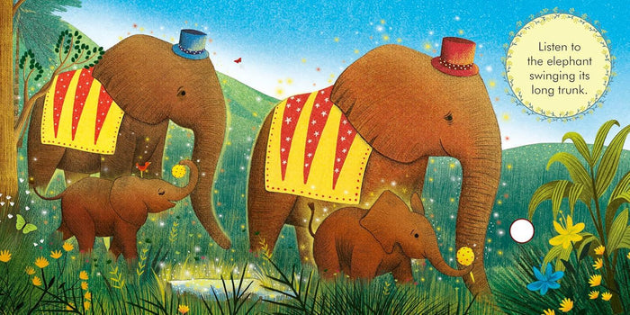 Book - My First Story Orchestra: Carnival Of The Animals (Sound Book) - Spread 4