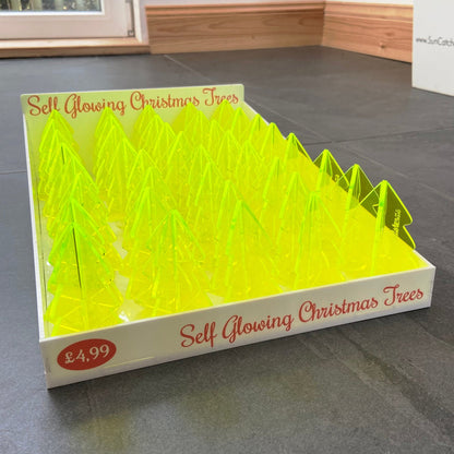 Chris Christmas Trees Sales Display-0