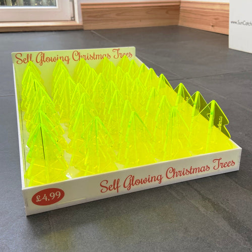 Chris Christmas Trees Sales Display-0