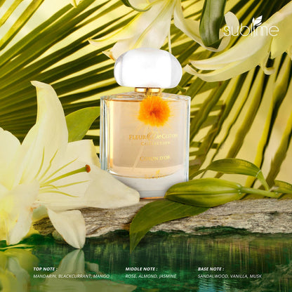 Coton D'or - Fleur De Coton
