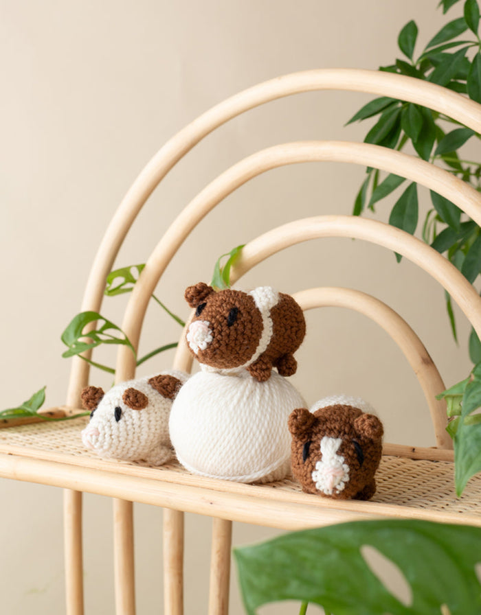 Mini Guinea Pigs - Complete Beginner - Level 1