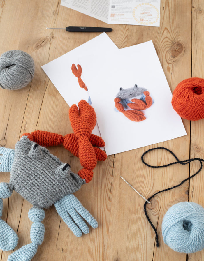 Karen the Blue Crab - Easy - Level 2