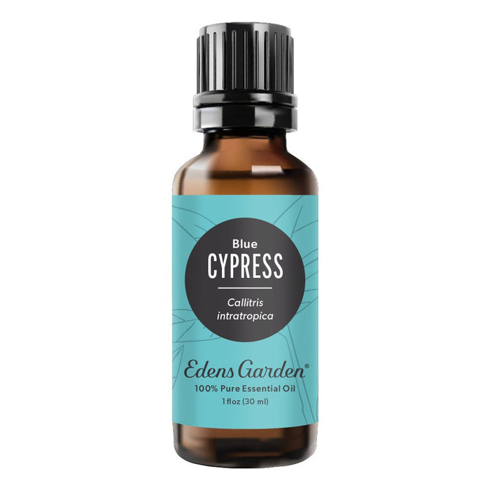 Cypress- Blue Essential Oil