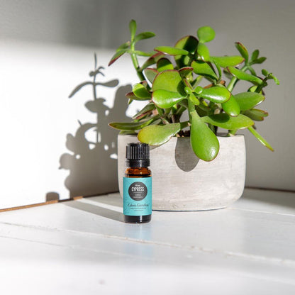 Cypress- Blue Essential Oil