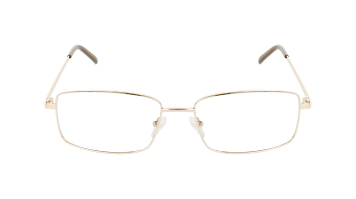 ECV EARL