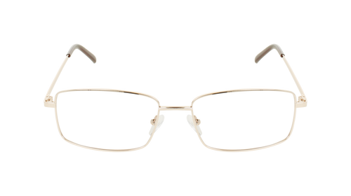 ECV EARL
