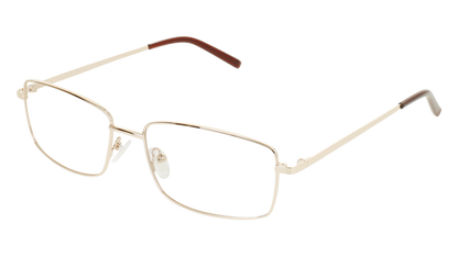 ECV EARL