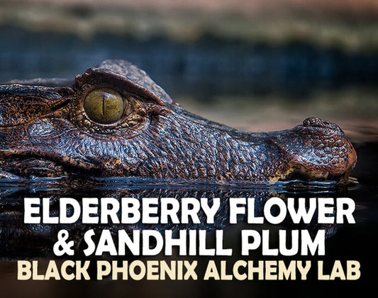 Elderberry Flower & Sandhill Plum Perfume Oil
