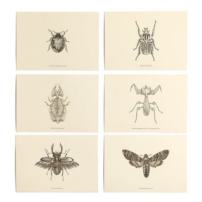 Stationary Cards with insects and gold foil