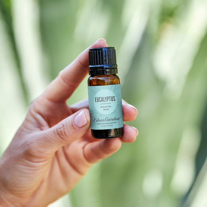 Lifestyle image of Eucalyptus Around The World Essential Oil