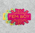 Fem Boy sticker
