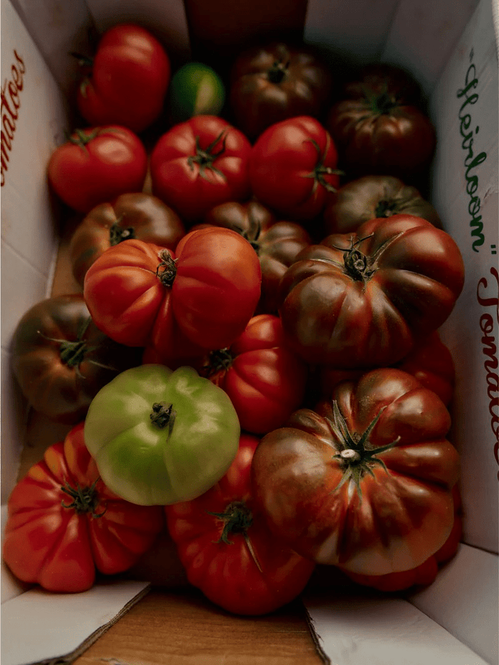Flamingo Estate | Roma Heirloom Tomato | Fragrance Oil