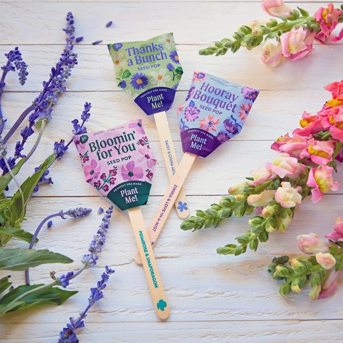 Flower Seed Pop
