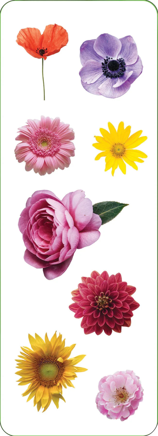 Flowers Stickers