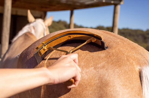 Hairy Pony Gold Sweat Scraper
