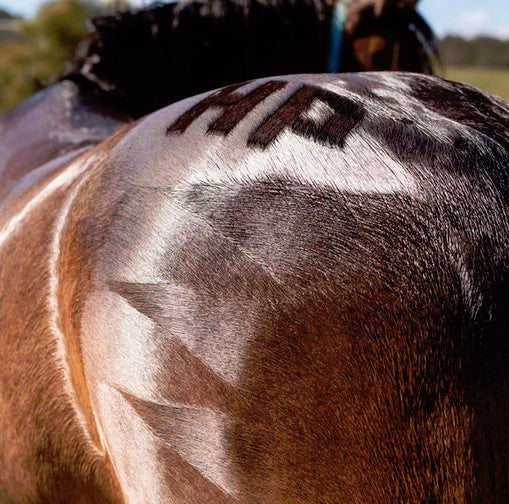 Hairy Pony Quarter Mark Brush