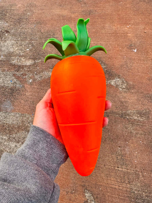 Jumbo Carrot Dough Fill Squish Toy
