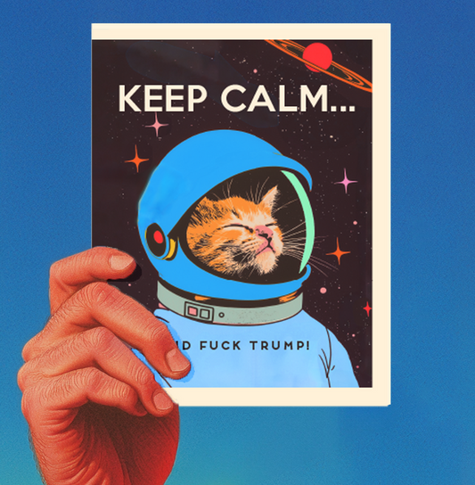 KEEP CALM SPACE CAT political greeting card