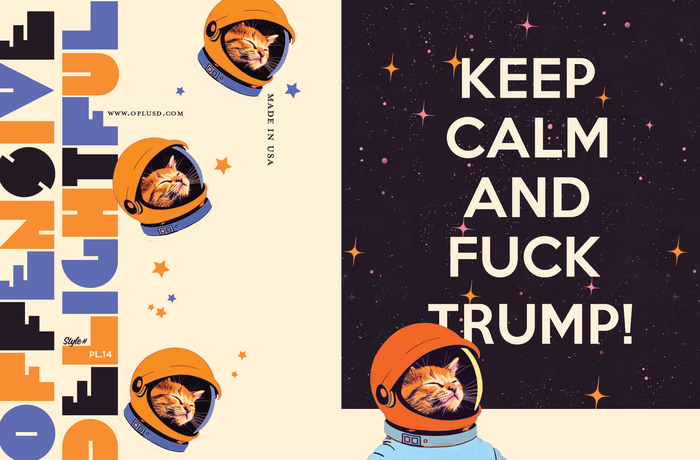 KEEP CALM SPACE CAT political greeting card