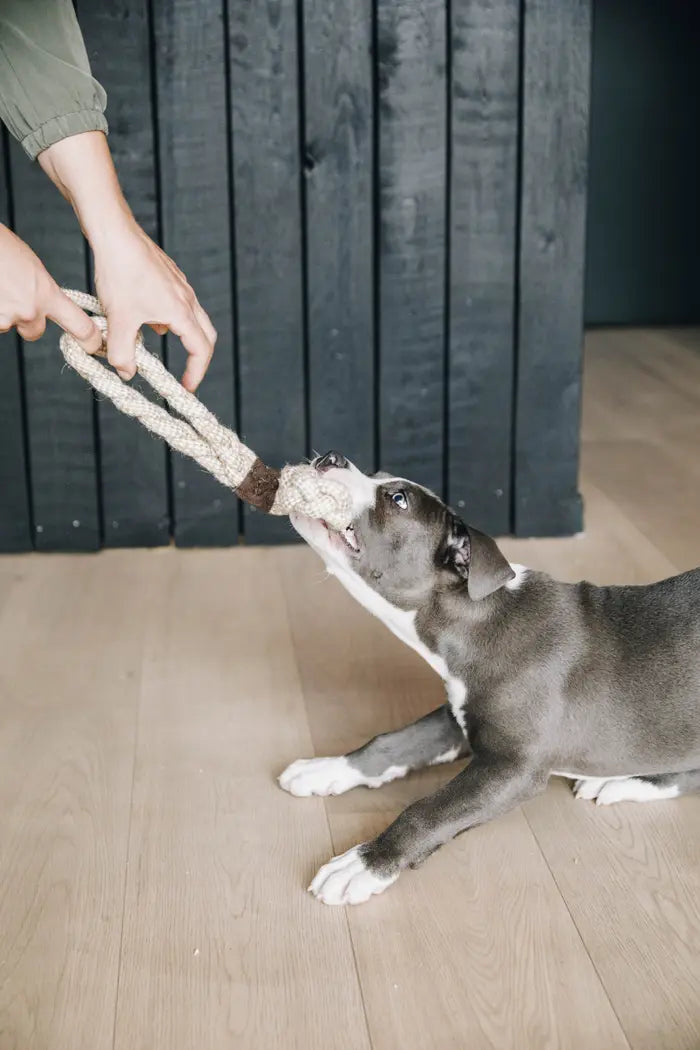 Kentucky Cotton Rope Dog Toy
