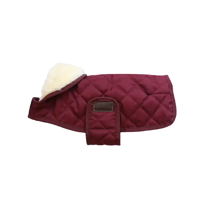 Kentucky Dog Coat Original