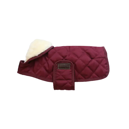 Kentucky Dog Coat Original