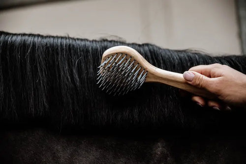 Kentucky Mane Brush