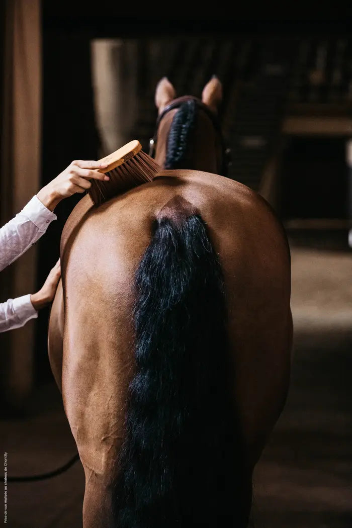 Kentucky Medium Middle Brush