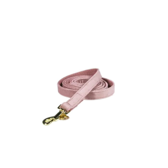 Kentucky Velvet Dog Leash