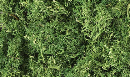 L163 Lichen Medium Green 1.5 Quarts