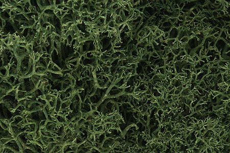 Lichen  1.5qts 1.4l -- Medium Green