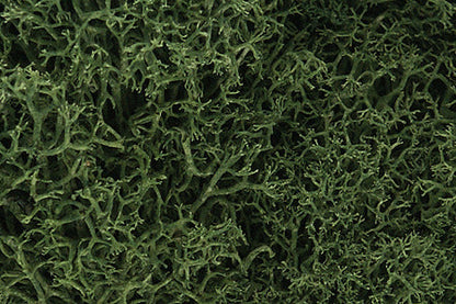 Lichen  1.5qts 1.4l -- Medium Green