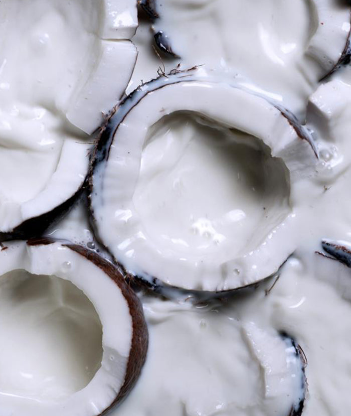 Lait de Coco Perfume Oil