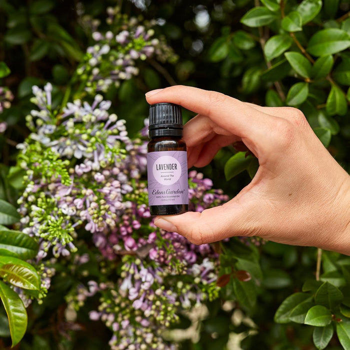 Lifestyle image of Lavender Around The World Essential Oil